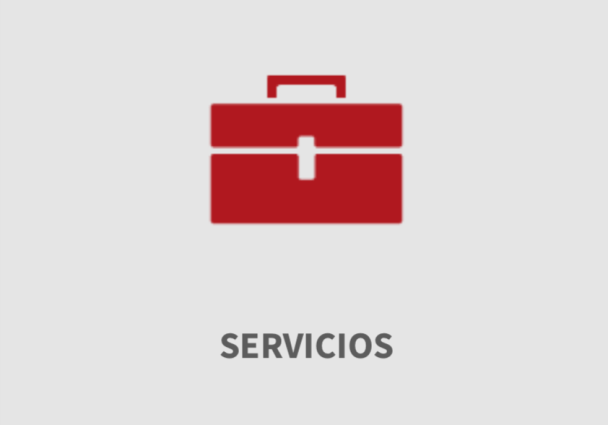 Servicios